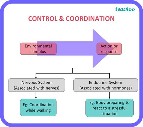 Coordination and control .